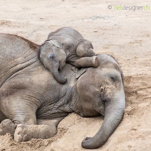 Bundle Up For a Discount! - Picture 2 of 7